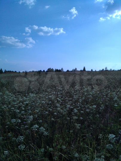 Участок 1,6 га (СНТ, ДНП)