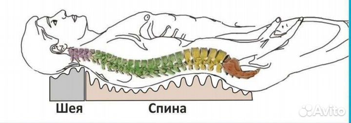 Тренажёр-массажёр, забота о вашем позвоночнике