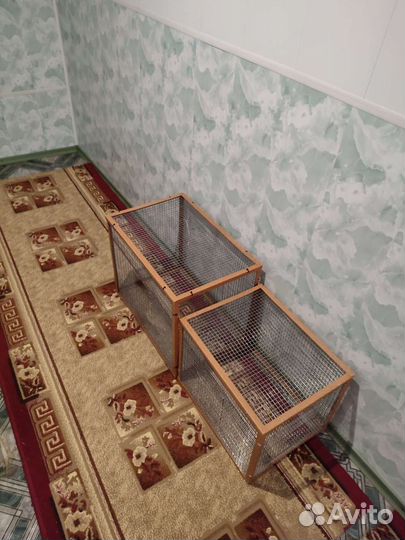 Клетка для попугая