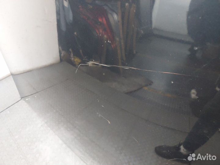 Капот Volkswagen Passat 6, 2008