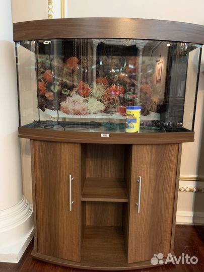 Аквариум juwel 180 литров с тумбой (Германия)