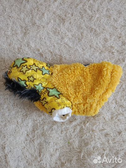 Одежда для собак мелких пород