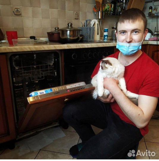 Ремонт стиральных машин Ремонт посудомоечных машин