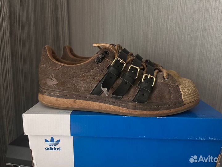 Adidas superstar rabbit hole