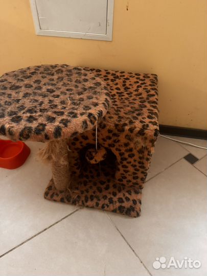 Когтеточка домик для кошки