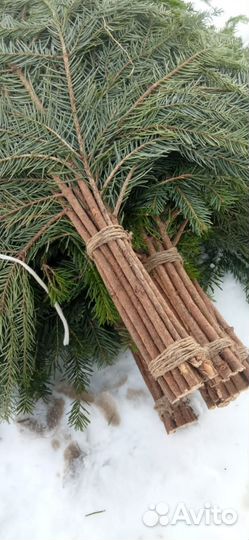 Веник пихтовый 20 штук