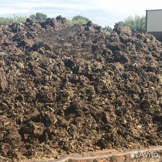 Навоз коровий