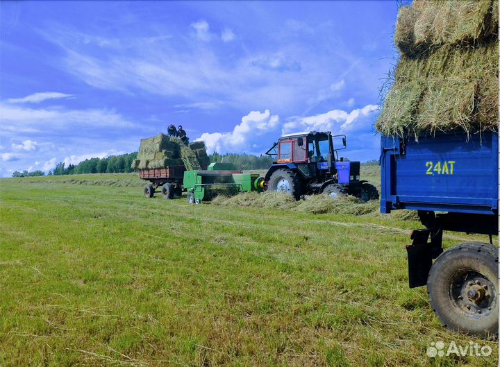 Сено посевное урожай 2023 г в тюках и рулонах