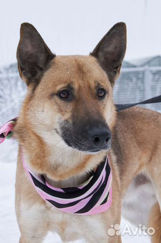 Ждёт вечность