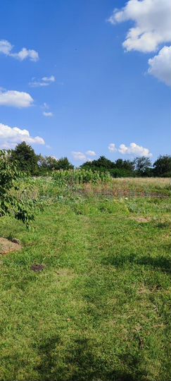 Дом 63,7 м² на участке 26,4 сот.