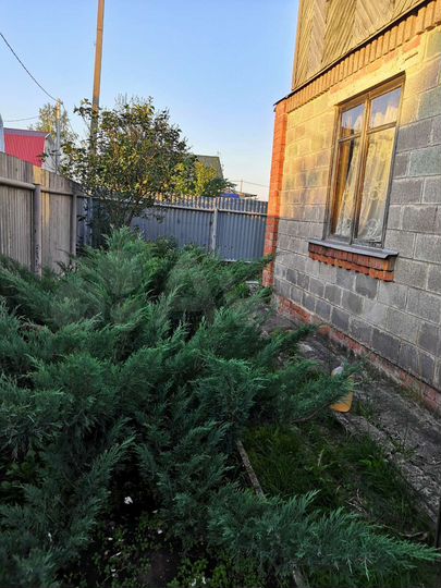 Дом 45 м² на участке 10 сот.