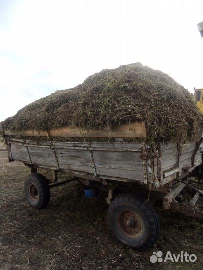 Продам сенаж