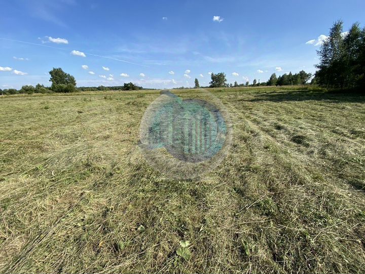 Участок 2,45 га (промназначения)