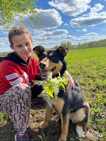 Характер чудо