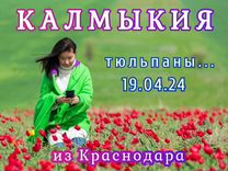19-20.04 Экскурсия в Калмыкию из Краснодара
