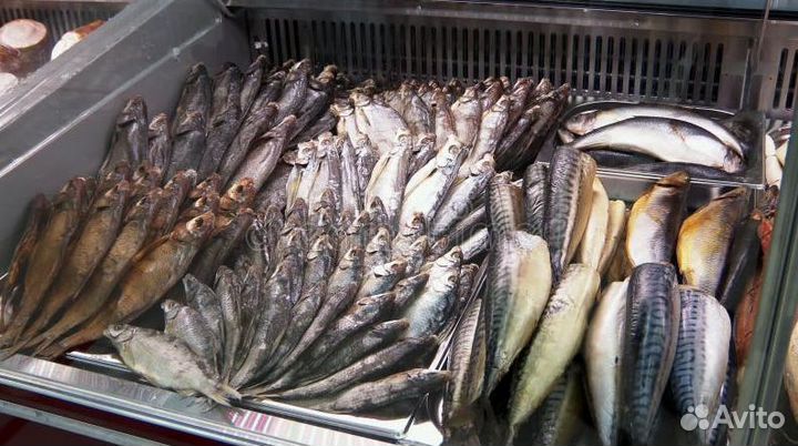 Готовый бизнес: рыба и морепродукты