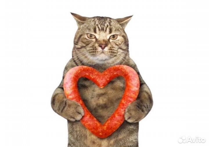 Кассеты vhs для Ивана