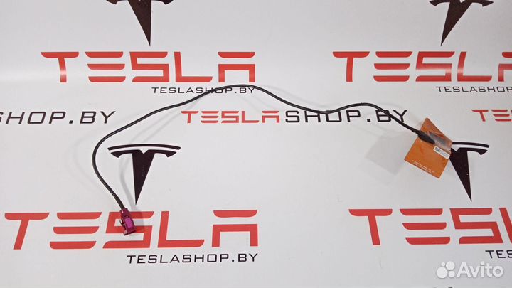 Антенна LTE Tesla Model 3 2019 109836900D