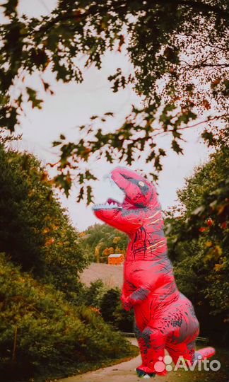 Экспресс поздравление