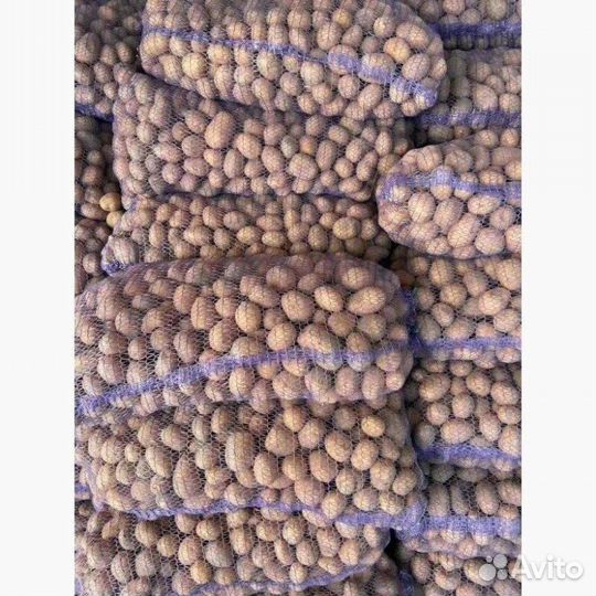 Доставка продуктов питания