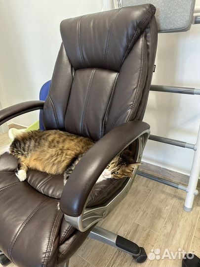 Офисное кресло руководителя