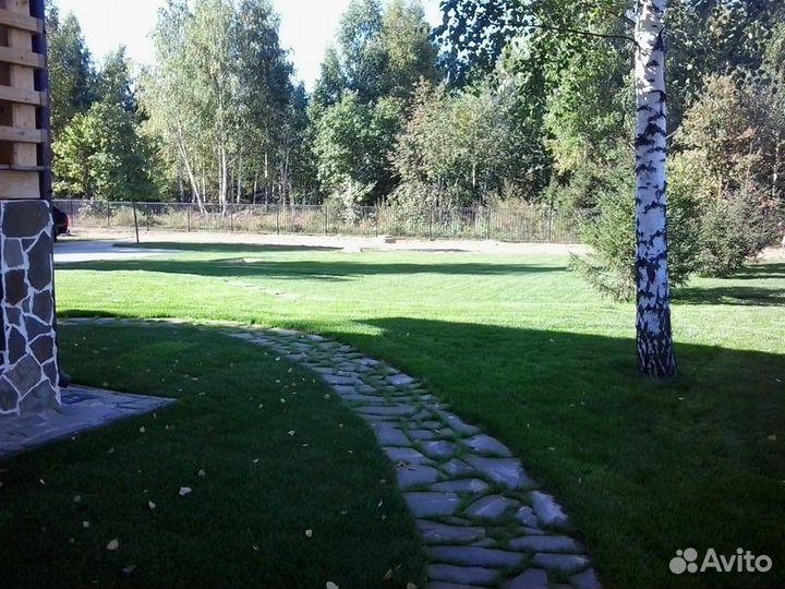 Рулонный газон в Ярославле