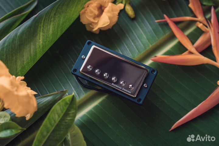 Seymour Duncan TB-14 Custom 5