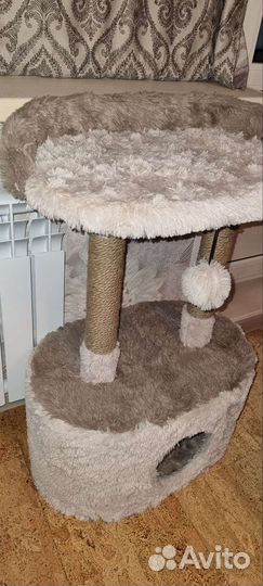 Когтеточка