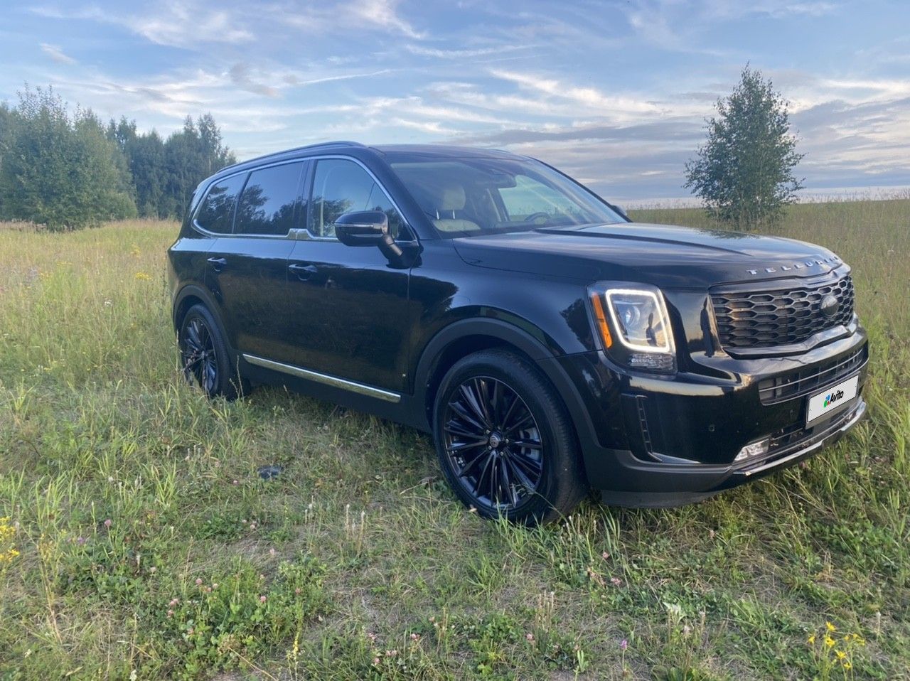 Kia Telluride: фото из отзыва