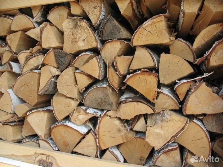 Дрова береза