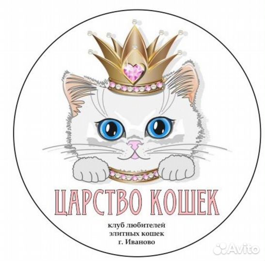 Документы для кошек: Родословные, сертификаты