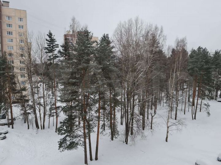 1-к. квартира, 33,1 м², 6/9 эт.