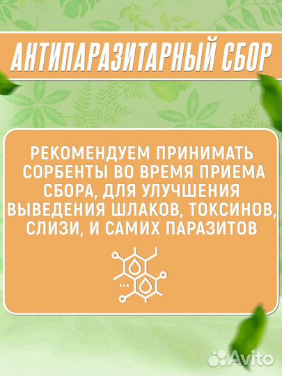 Антипаразитарный курс для организма