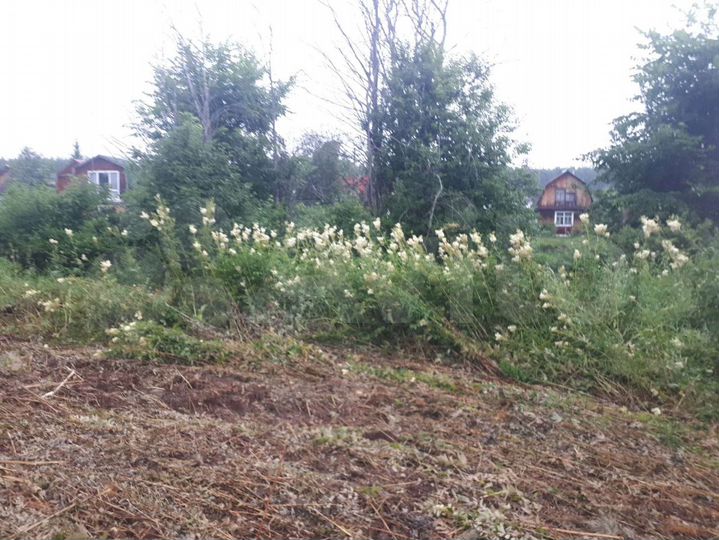 Участок 10 сот. (СНТ, ДНП)