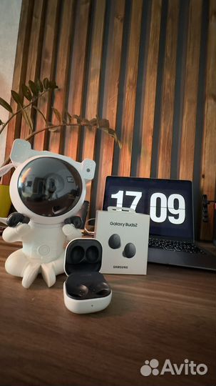 Samsung galaxy buds 2