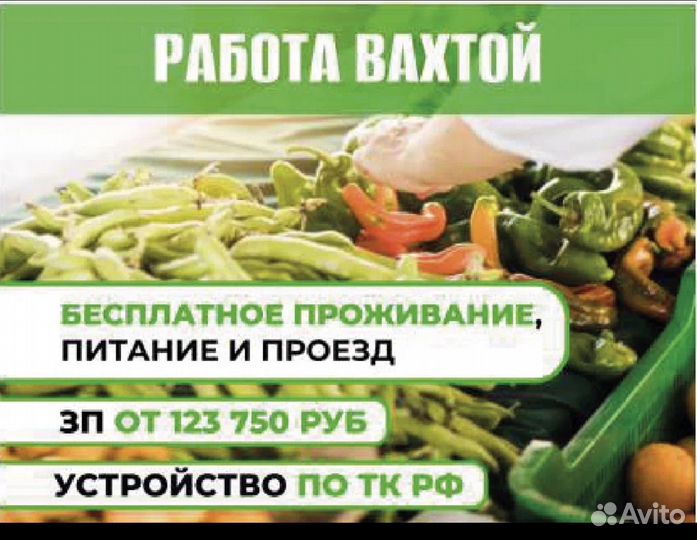 Подсобный рабочий