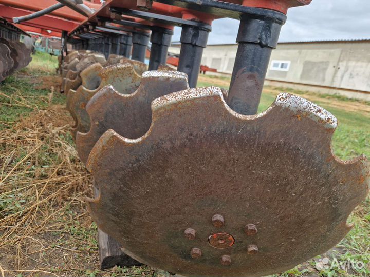 Борона Белинсксельмаш PALLADA 6000, 2018