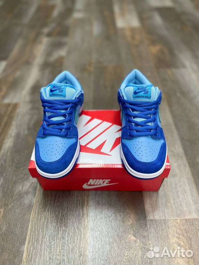 Nike SB dunk low 