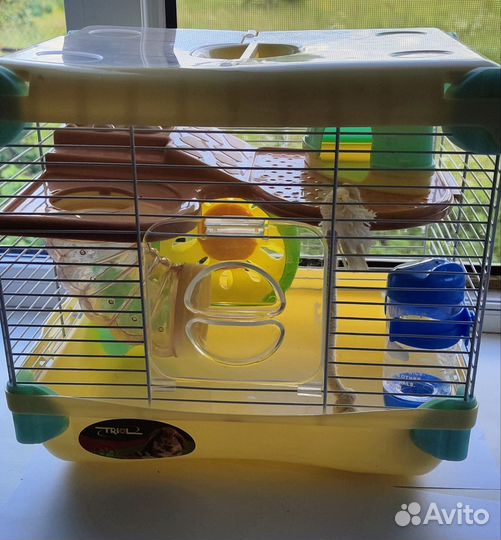 Комплект для содержания мелких грызунов