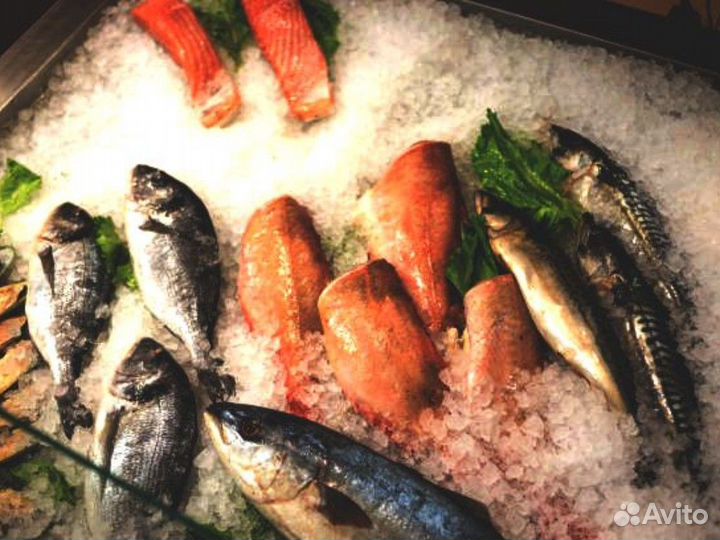 Магазин рыбы и морепродуктов