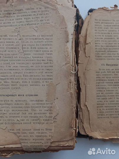 Практические основы кулинарного искусства 1899