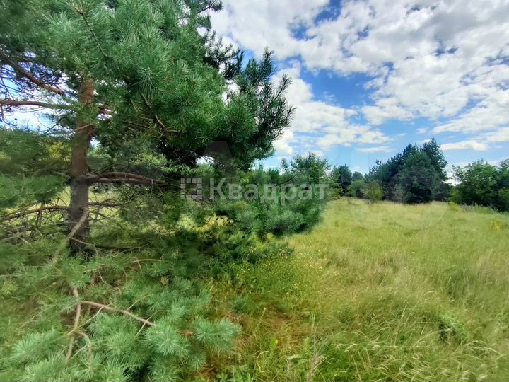 Участок 9 га (СНТ, ДНП)