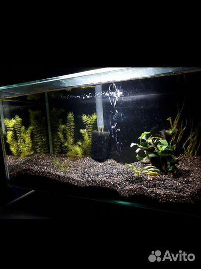 Аквариум с тумбой