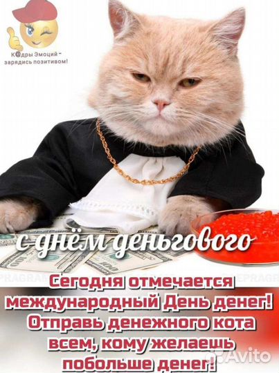 Готовое ооо