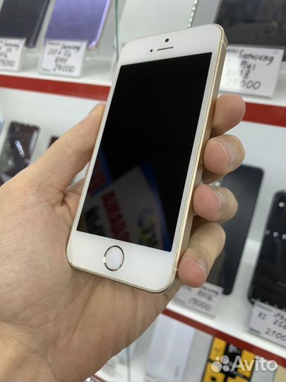 iPhone SE, 16 ГБ