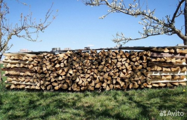 Дрова дубовые
