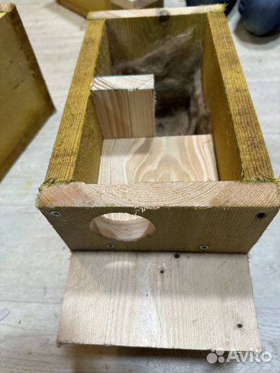 Бельчатник, утепленный, правильный