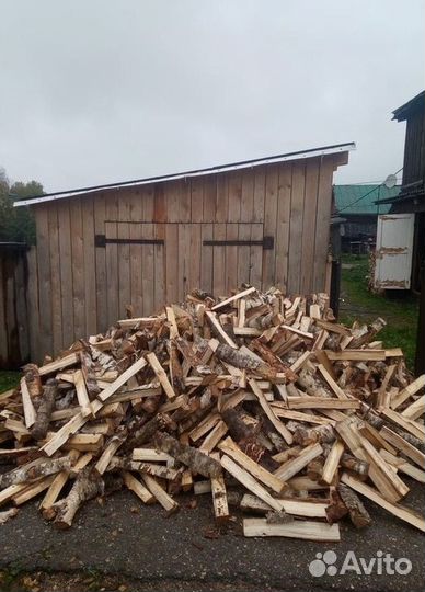 Дрова береза