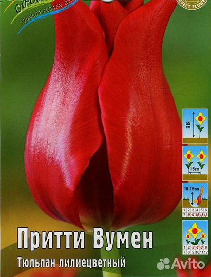 Луковицы тюльпанов лилиецветный Притти Вум 10 шт