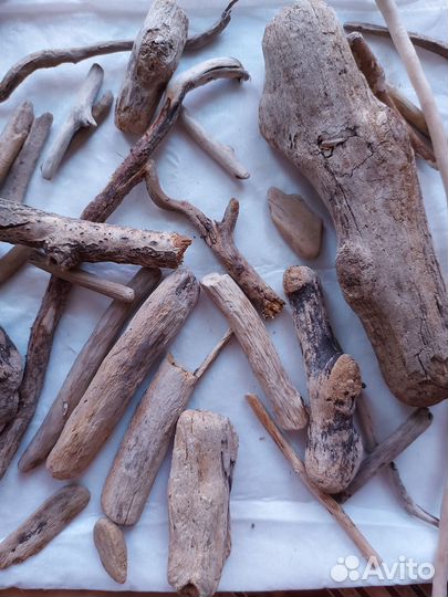 Коряги дрифтвуд